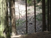 DSC03890.JPG