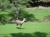 DSC03893.JPG