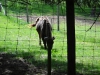 DSC03901.JPG