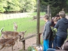 DSC03905.JPG