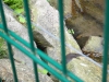 DSC03909.JPG