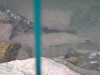 DSC03910.JPG