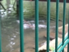 DSC03911.JPG