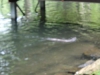 DSC03913.JPG