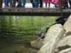 DSC03914.JPG