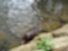 DSC03917.JPG