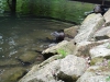 DSC03918.JPG