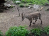 DSC03923.JPG