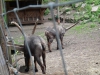 DSC03924.JPG