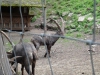 DSC03925.JPG